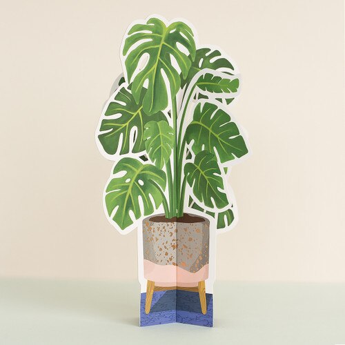 Monstera Paper Plant